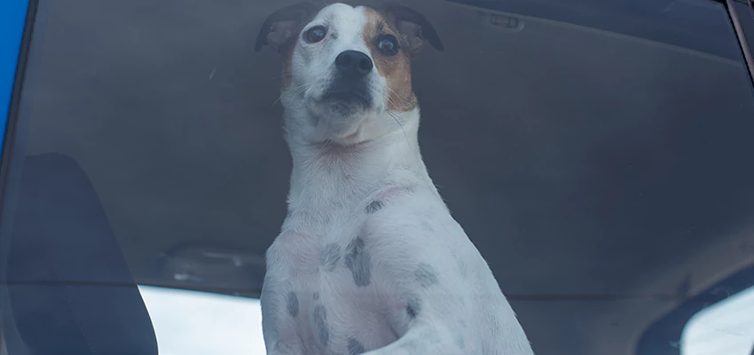 Car Lockout Solutions in San Ramon, California